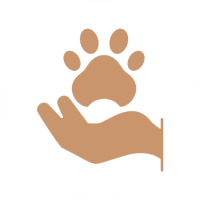 Profesyonel Pet Oteli